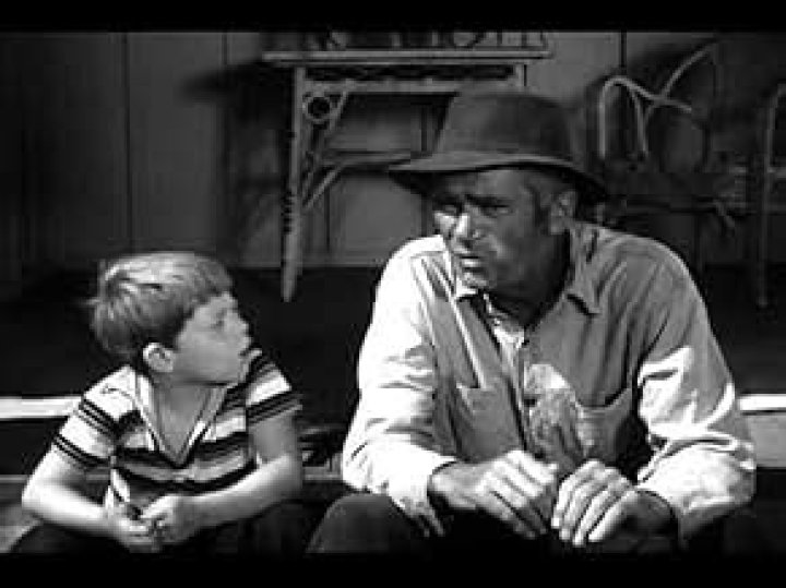 Buddy Ebsen: A Timeless Star of Stage, Screen, and Television