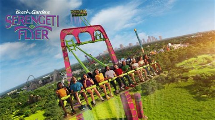 Busch Gardens Tampa Bay's Bullet: Unforgettable Coaster Thrills