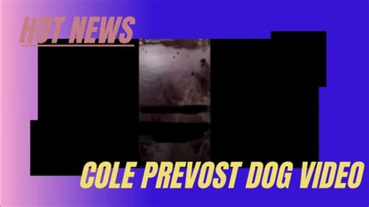 Cole Prevost Dog Video Full: An In-Depth Look at the Viral Sensation
