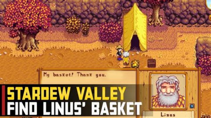 Discovering the Charm of the Linus Blackberry Basket