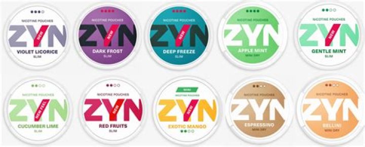 Discovering the Exquisite World of Zyns Flavors