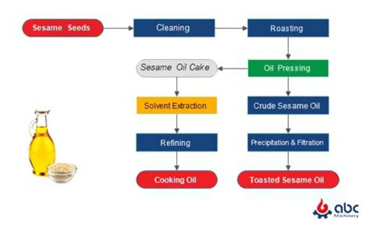 Discovering the Wonders of Oil from Sesame Seeds