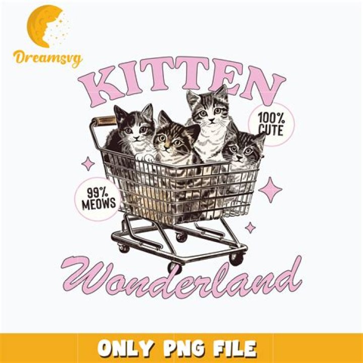 Dive into the Cutest Corners of Discord: Discover Kitten Wonderland