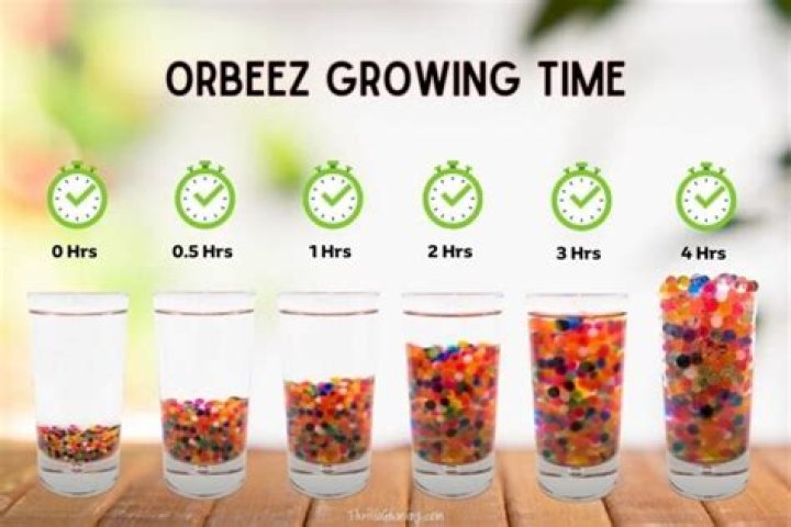 Exploring the Fascinating Composition of Orbeez
