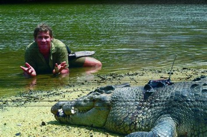 Exploring the Life and Legacy of Steve Irwin: Age at Death and His Impact on Wildlife Conservation