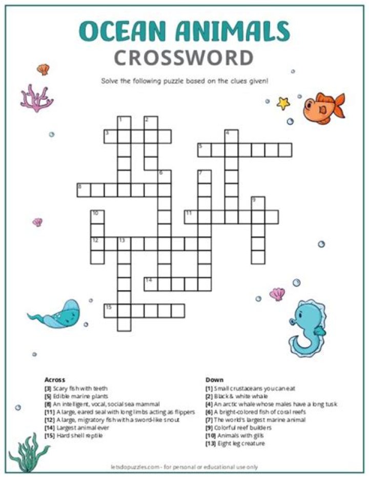 Exploring the Phenomenon of Power Hits Series Record Co Crossword