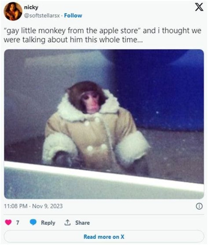 Gay Little Monkey Apple Store: A Unique Experience Awaits