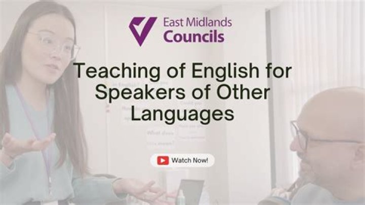 Mastering ES English: A Comprehensive Guide to English for Speakers of Other Languages