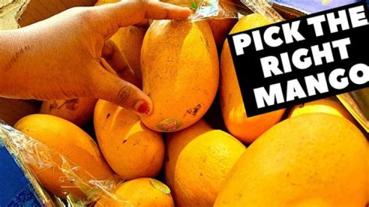 Mastering the Art of Mango Selection: How to Pick a Good Mango