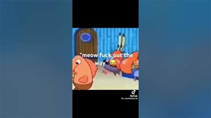 Meow Fuck Out The Way: A Deep Dive into Feline Culture and Internet Phenomena