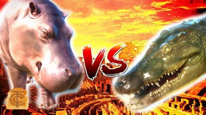 **The Ultimate Showdown: Hippo vs Crocodile**