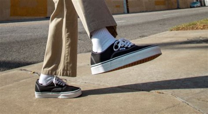 Ultimate Guide to Fan Vans: Everything You Need to Know