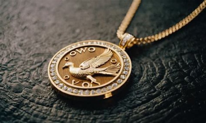 Understanding the Meaning Behind "OVO Drake"