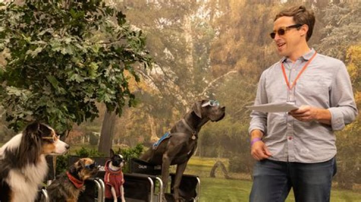 Unleashing Laughter: The Magic of the Talking Dog Movie