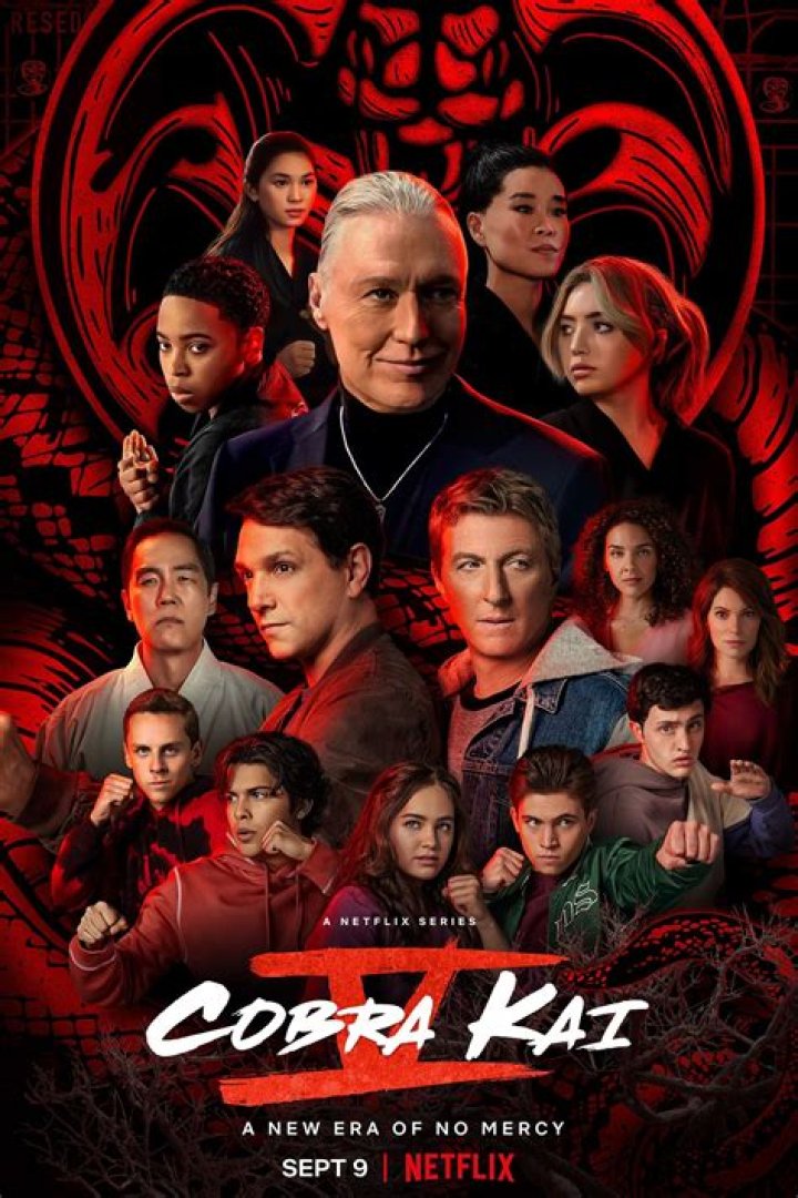 Unveiling the Age of Cobra Kai Cast: An In-Depth Look