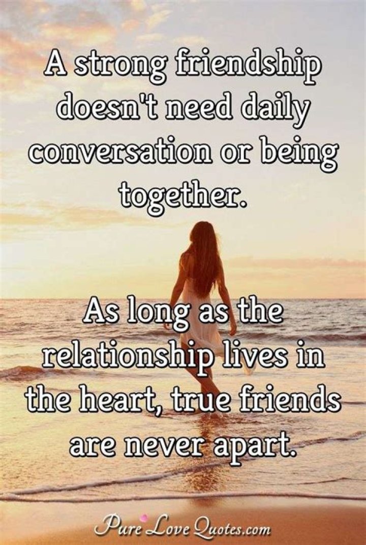 You Are My Friend: The Essence of Friendship and Connection